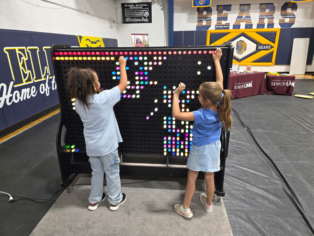 STEM Family Night