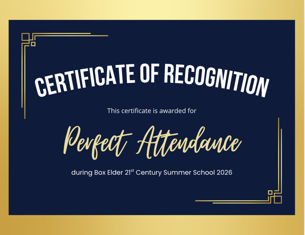 Summer School Perfect Attendance!