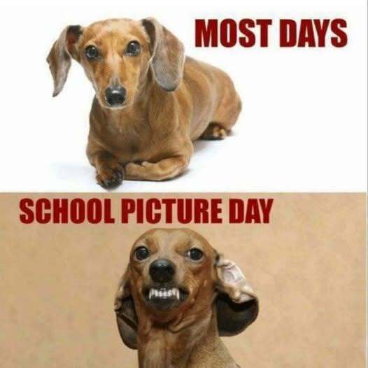 School pictures Tuesday, November 3rd