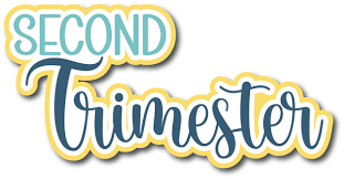 End of 2nd Trimester