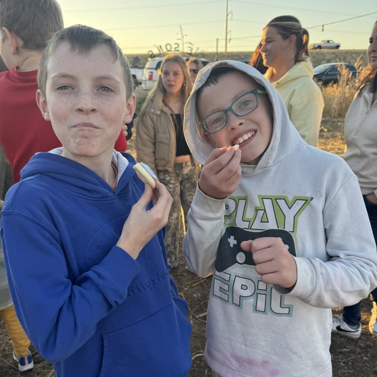 corn maze
