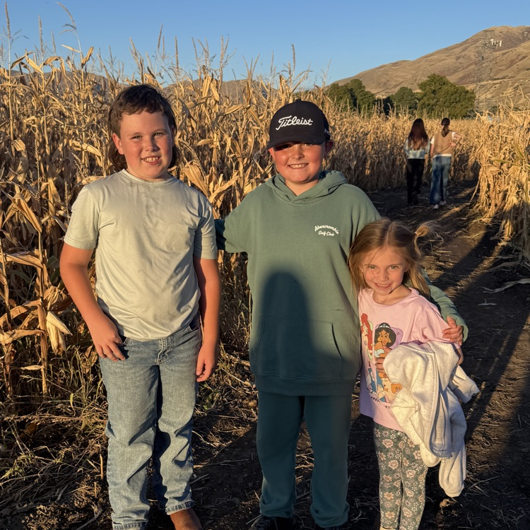 corn maze
