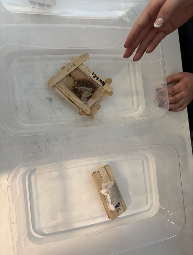 fifth grade activity