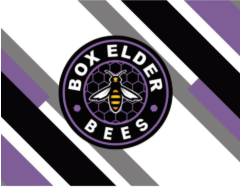 box elder bees
