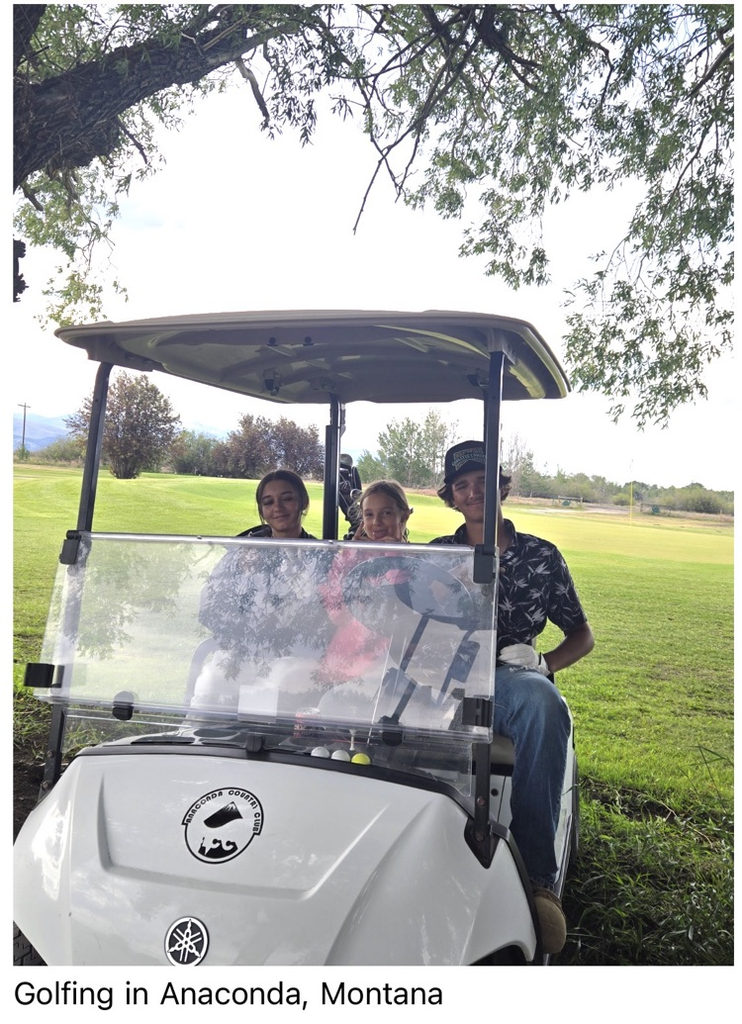 golfing Bear