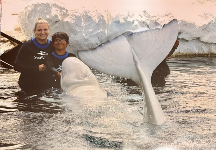 whale