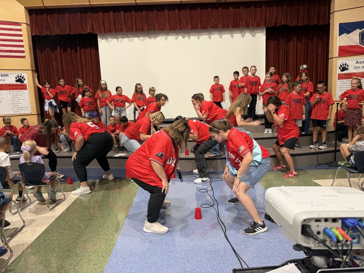 bts assembly