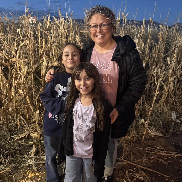 corn maze