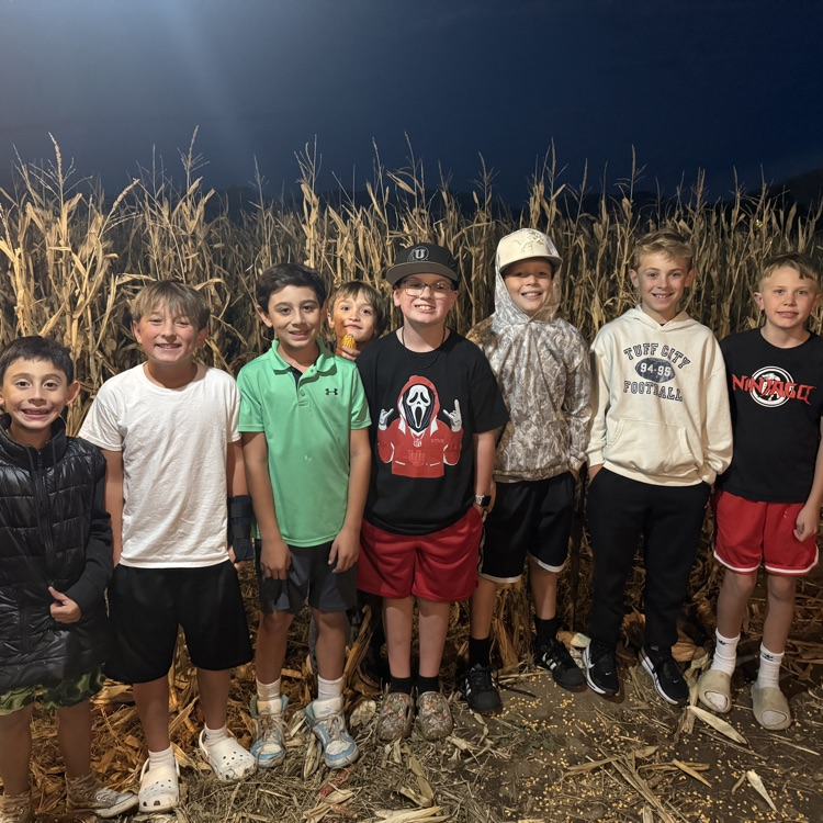 corn maze