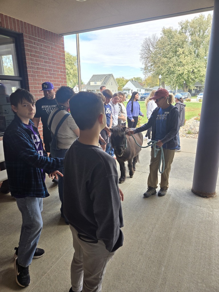 Horses H.E.L.P SWI visit