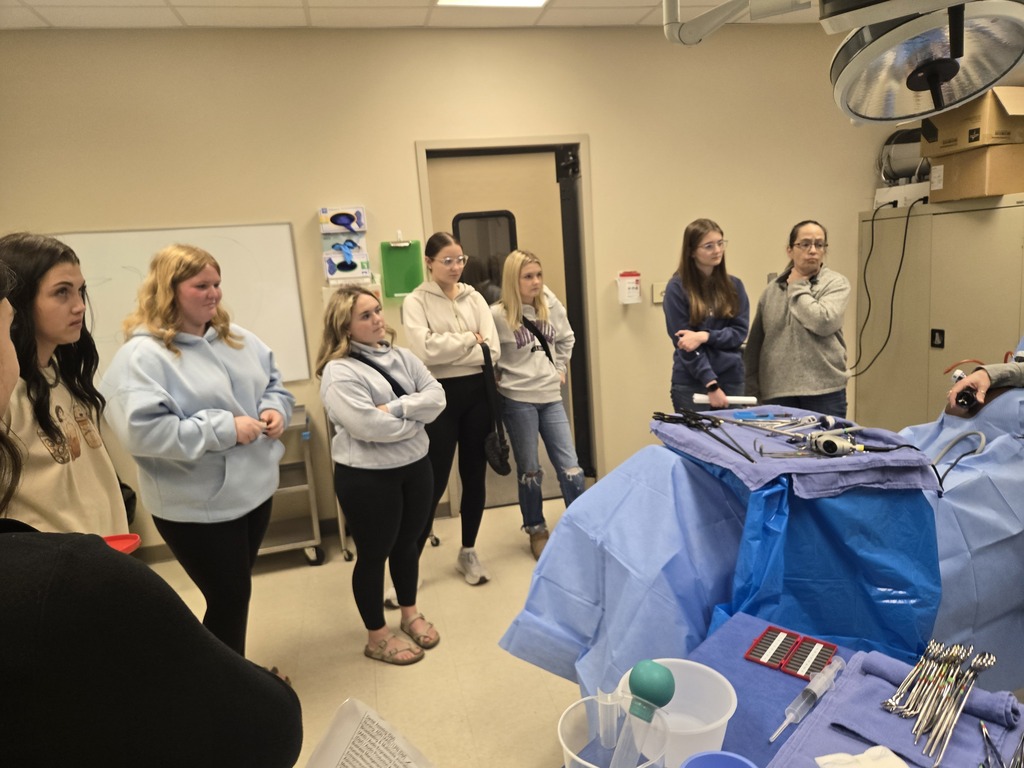 junior career day witcc