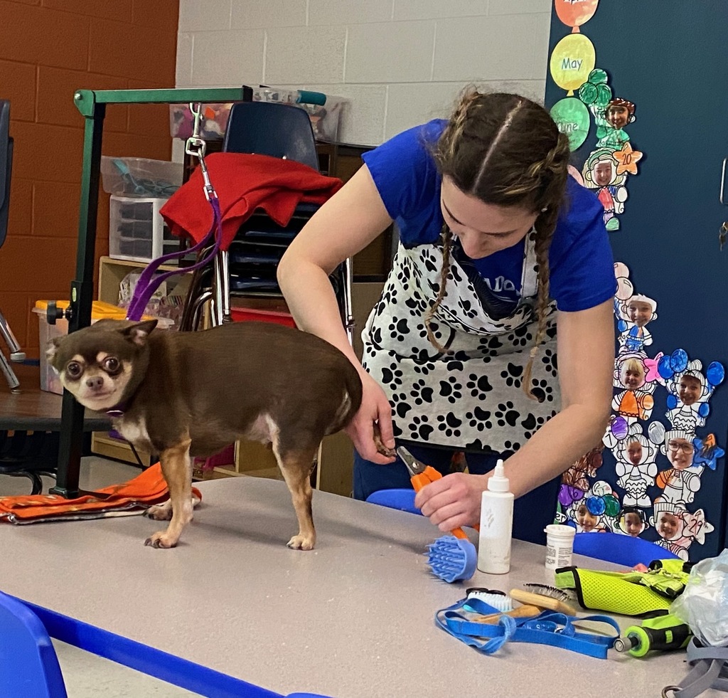 Fun with Alexis Bielas learning how to properly groom a dog.