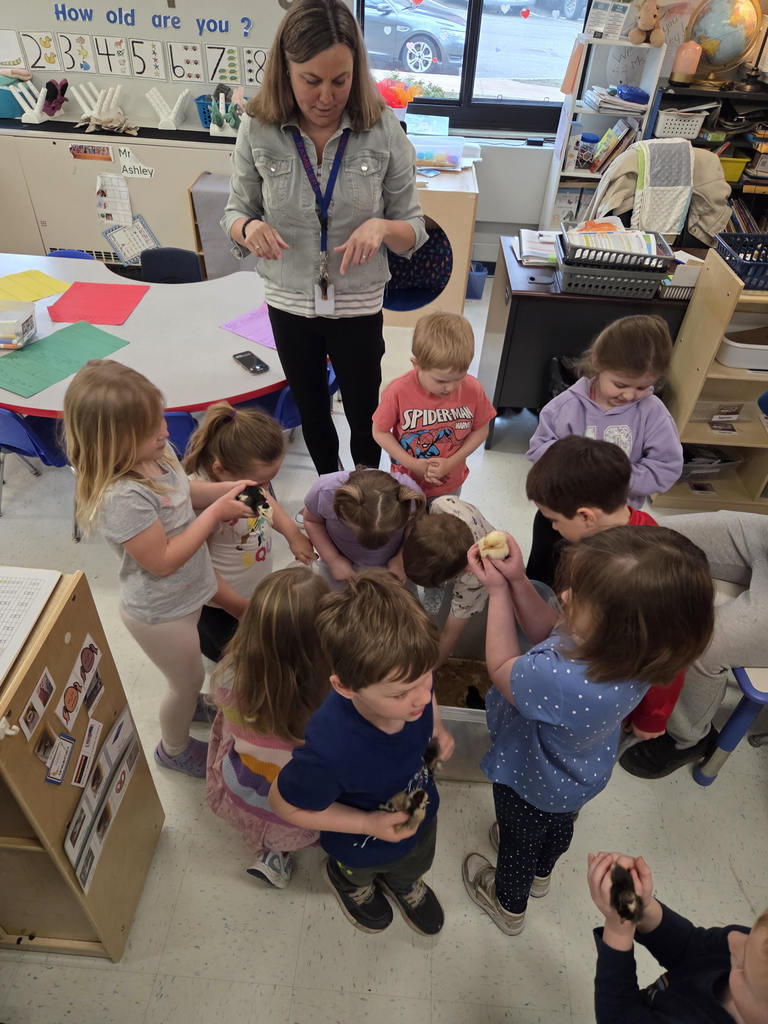 Chickens, turkeys, and duck visit Mrs. Ashley's room!