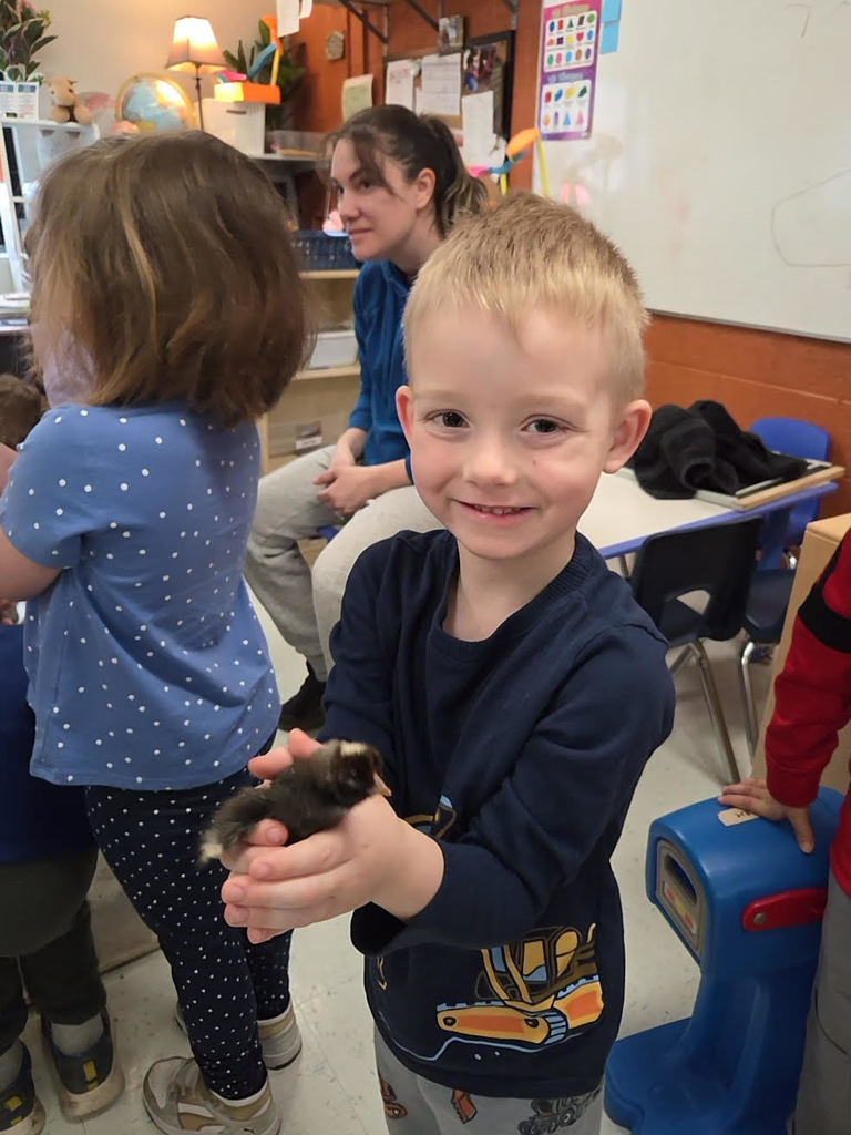 Chickens, turkeys, and duck visit Mrs. Ashley's room!