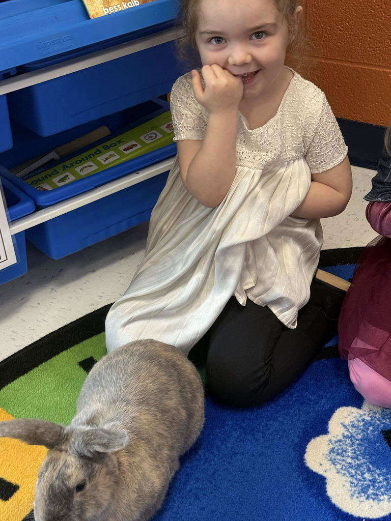 Ms. Allison's bunny, Lola, came to visit today!