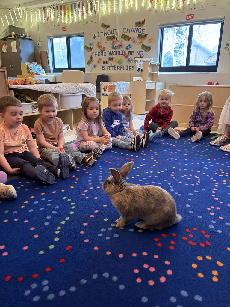 Ms. Allison's bunny, Lola, came to visit today!