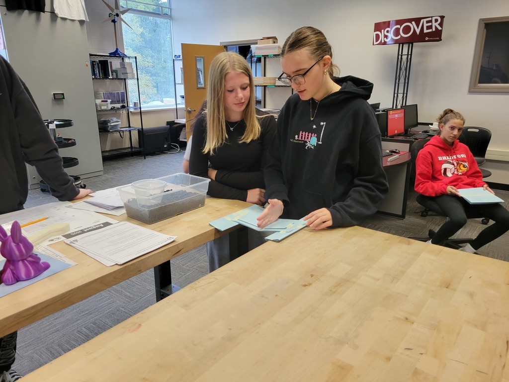 STEM Bridge Design