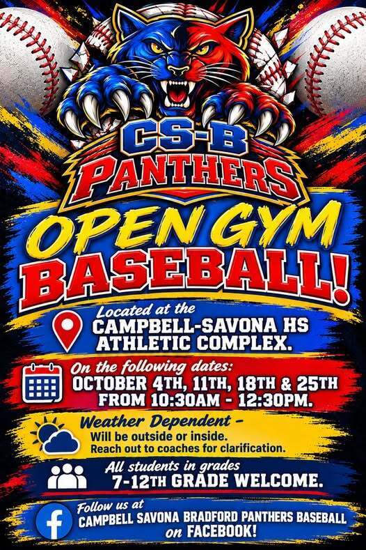 baseball