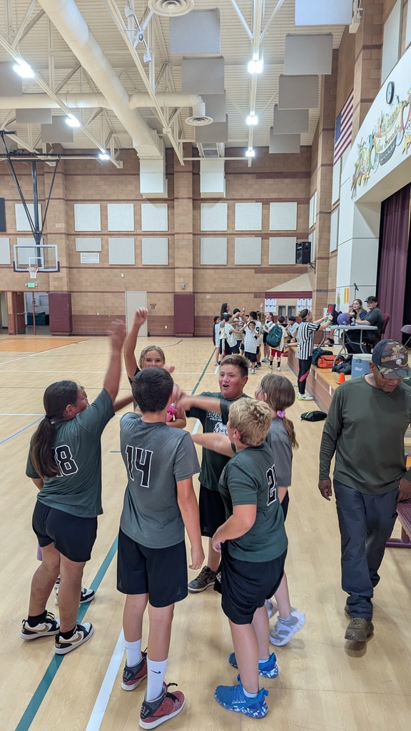 lillian larsen basketball