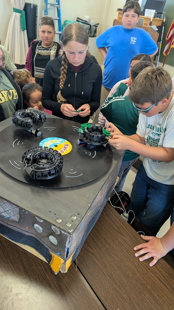 theme park designers