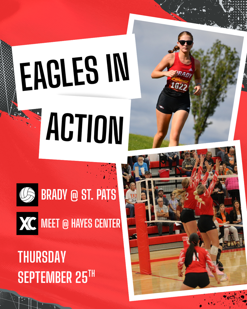 Eagles in Action Post