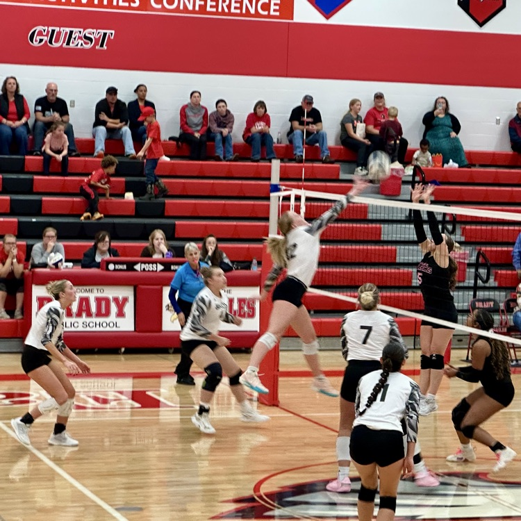 vball 