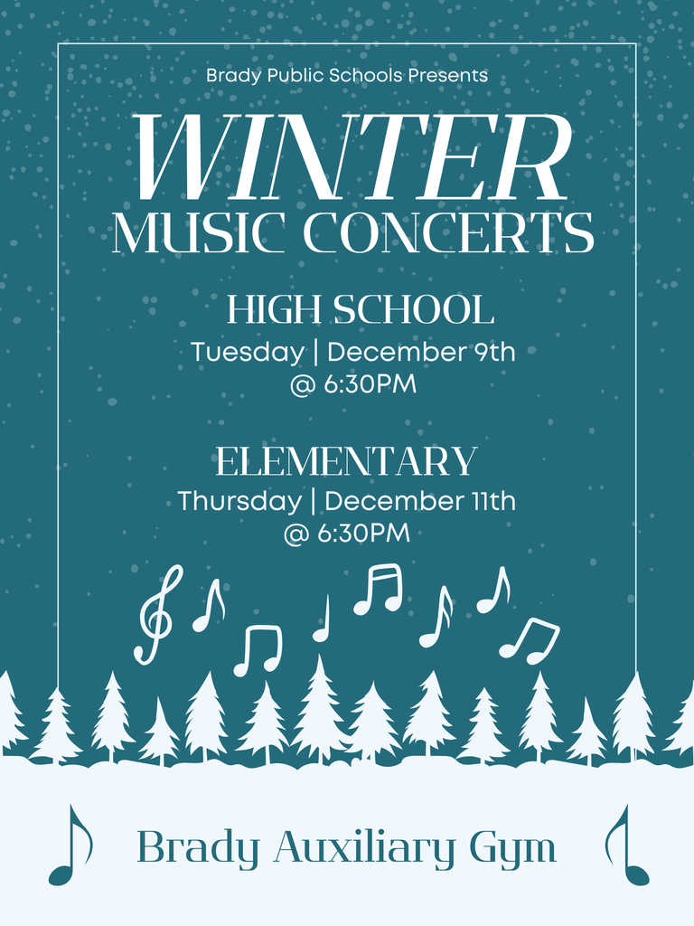 Blue and White Simple Winter Music Festival Poster (1)
