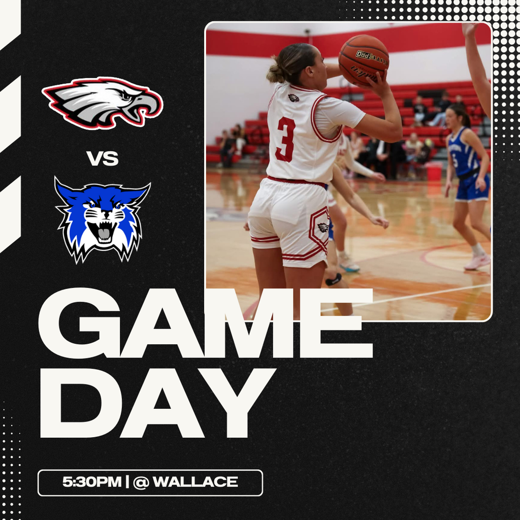 Black and White Modern Basketball Game Day Instagram Post (1)