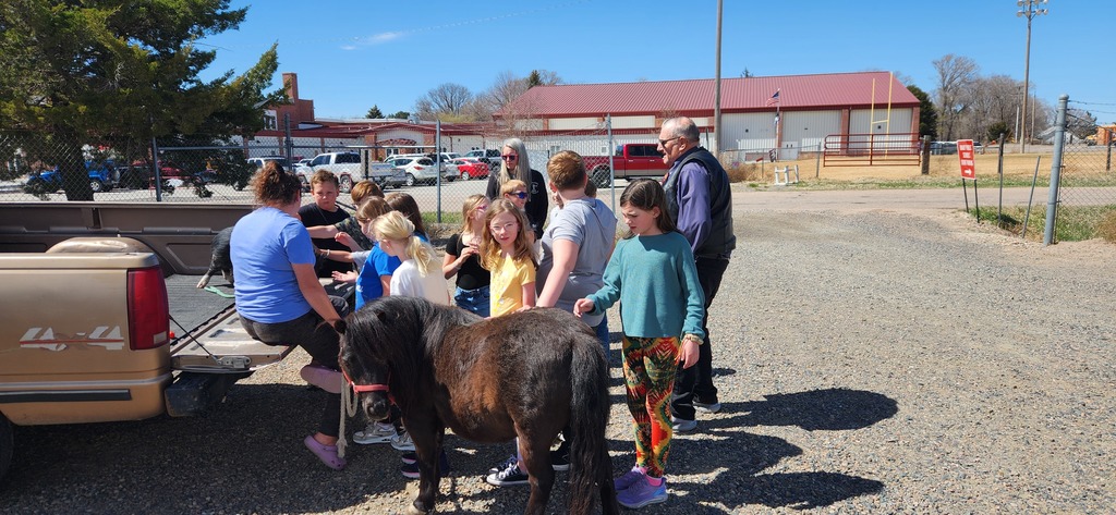 kids with farm animals 