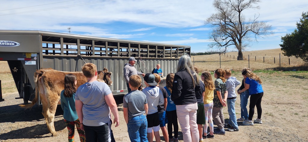 kids with farm animals 