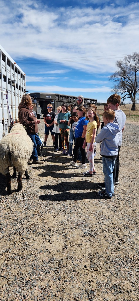 kids with farm animals 