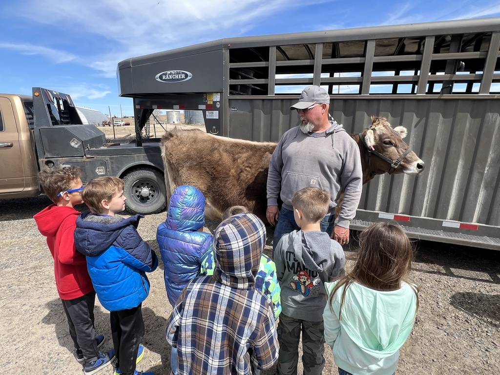 kids with farm animals 