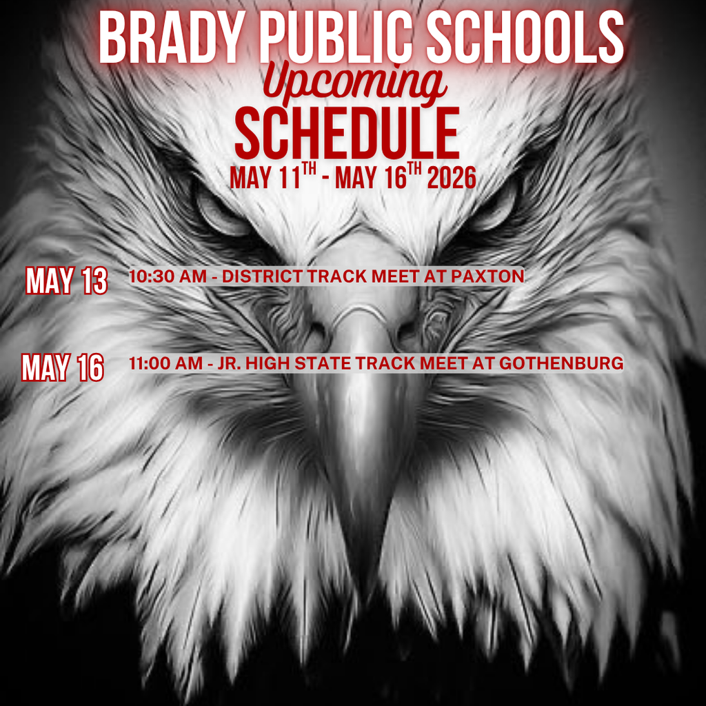 Activity Schedule