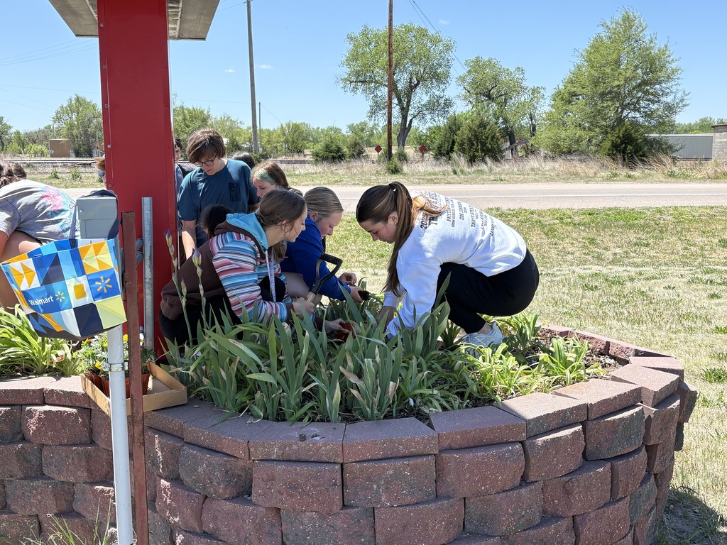 community service projects 