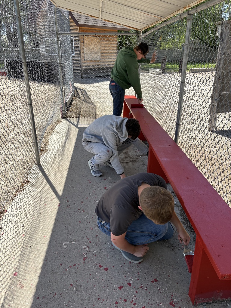 community service projects 