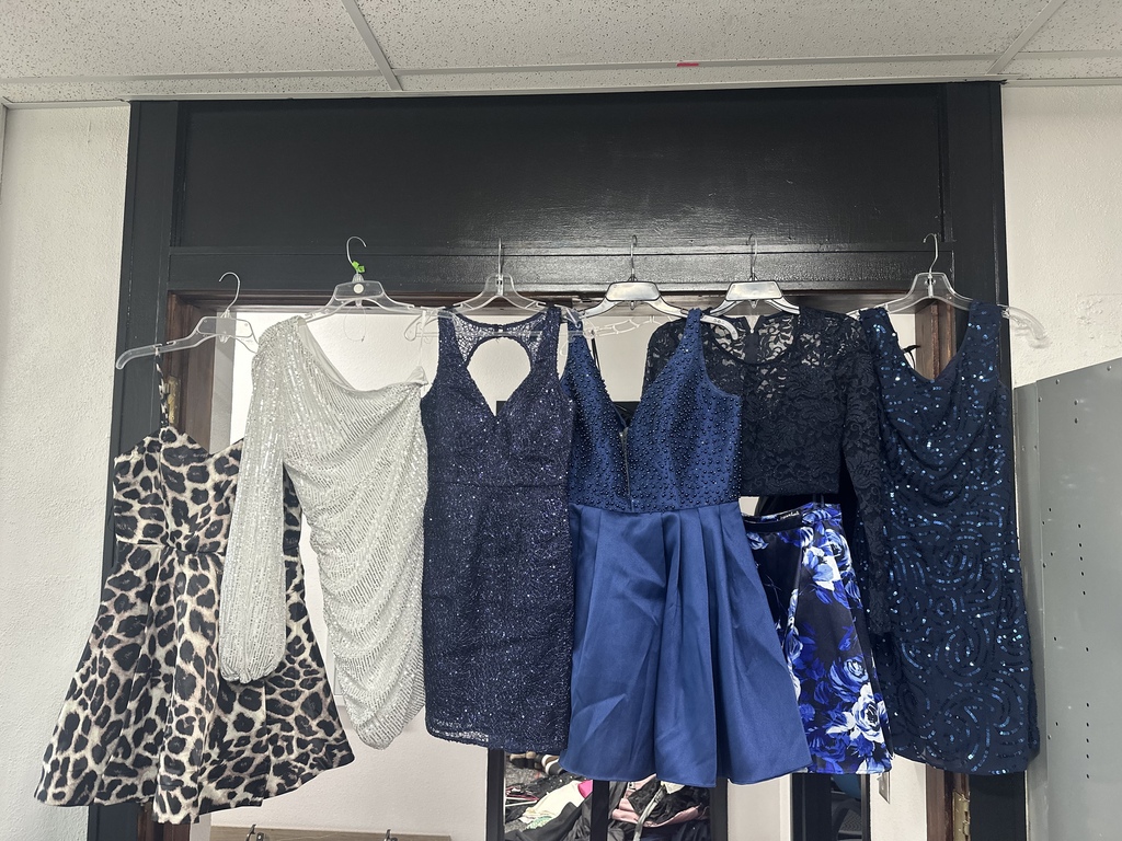 hoco dresses