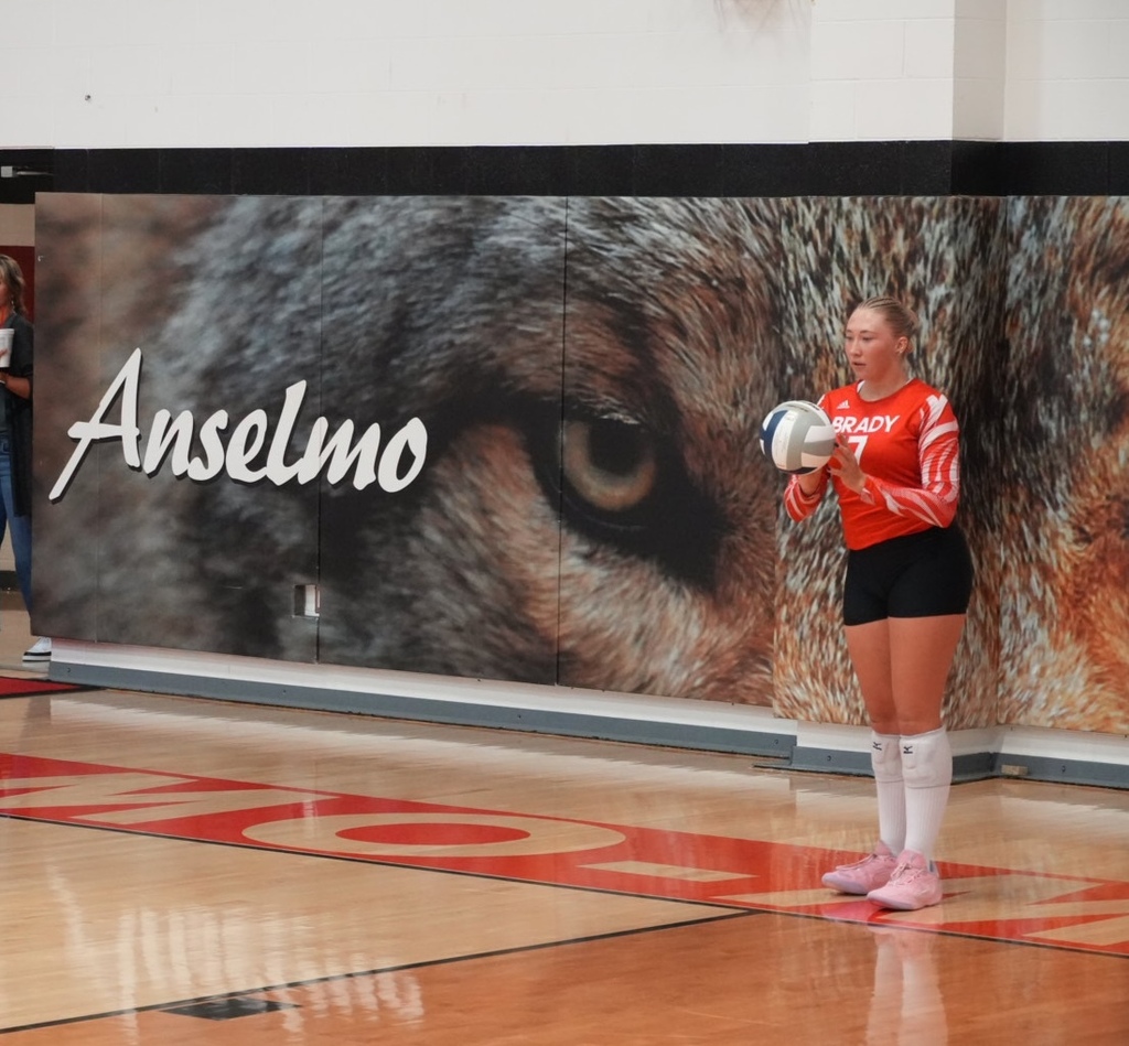 kenlee serving