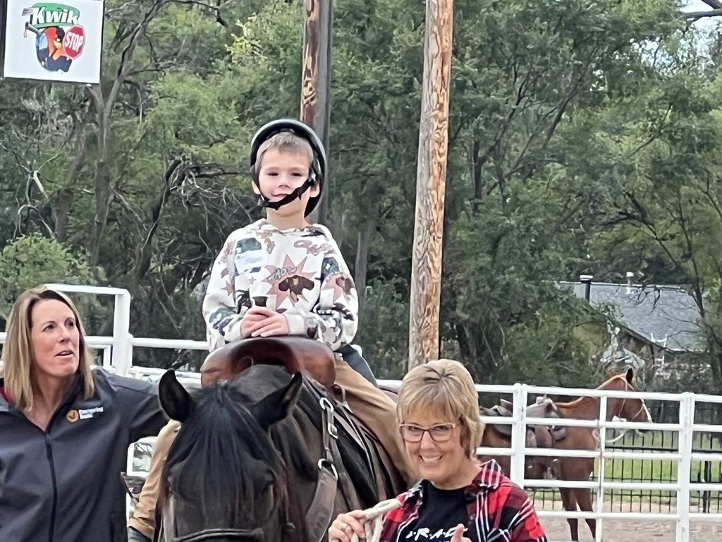 partner-up rodeo 