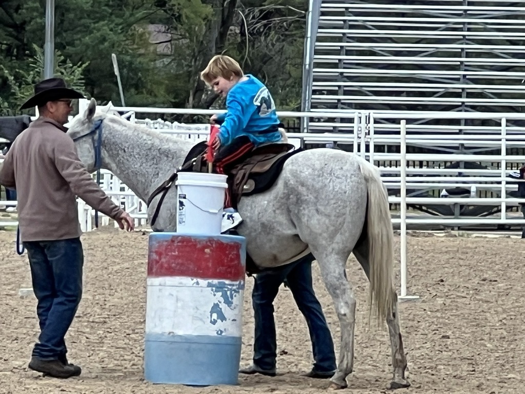 partner-up rodeo 