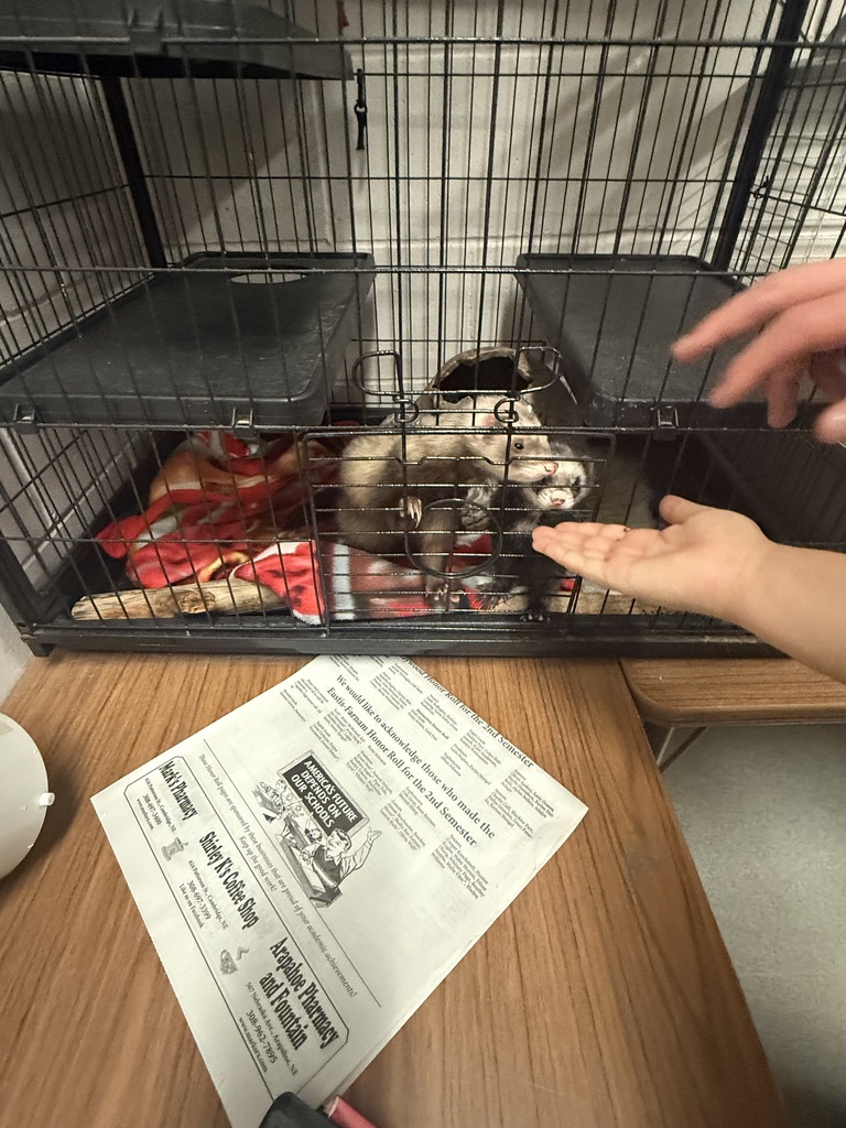 seniors visit NCTA