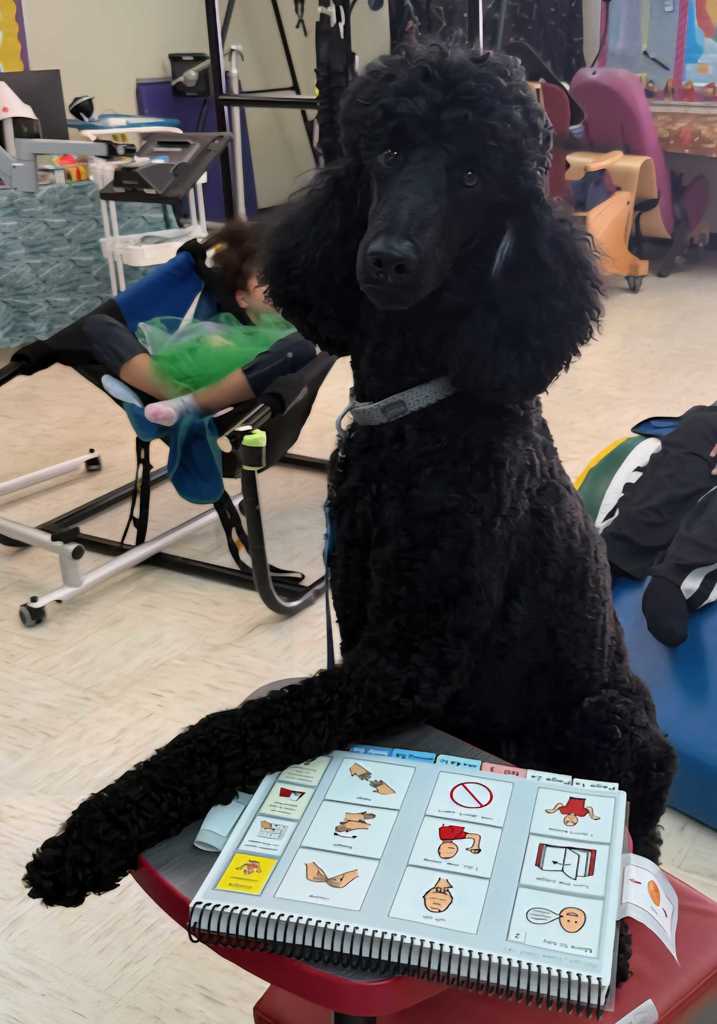 A service dog posing with a POD book