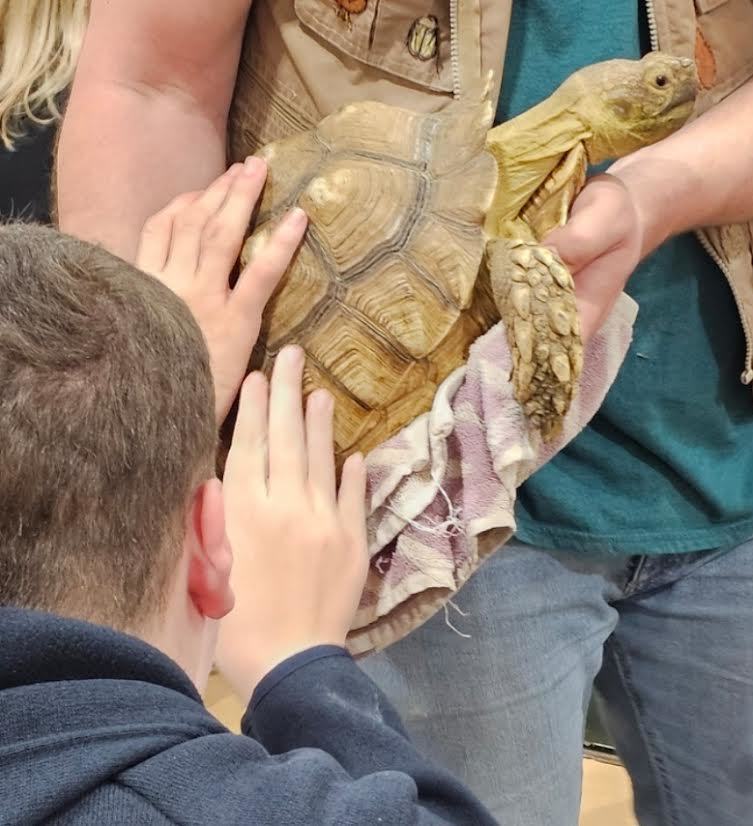 Ryan loved to touch the tortoise
