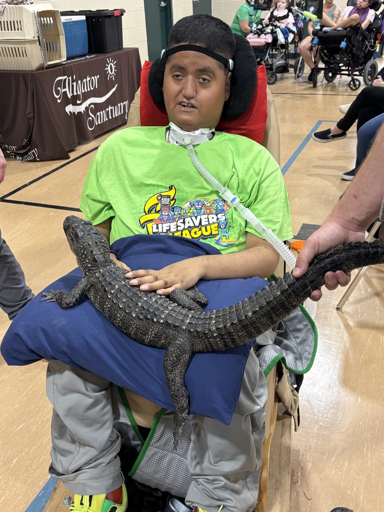 Miguel thought this alligator was so cool!!