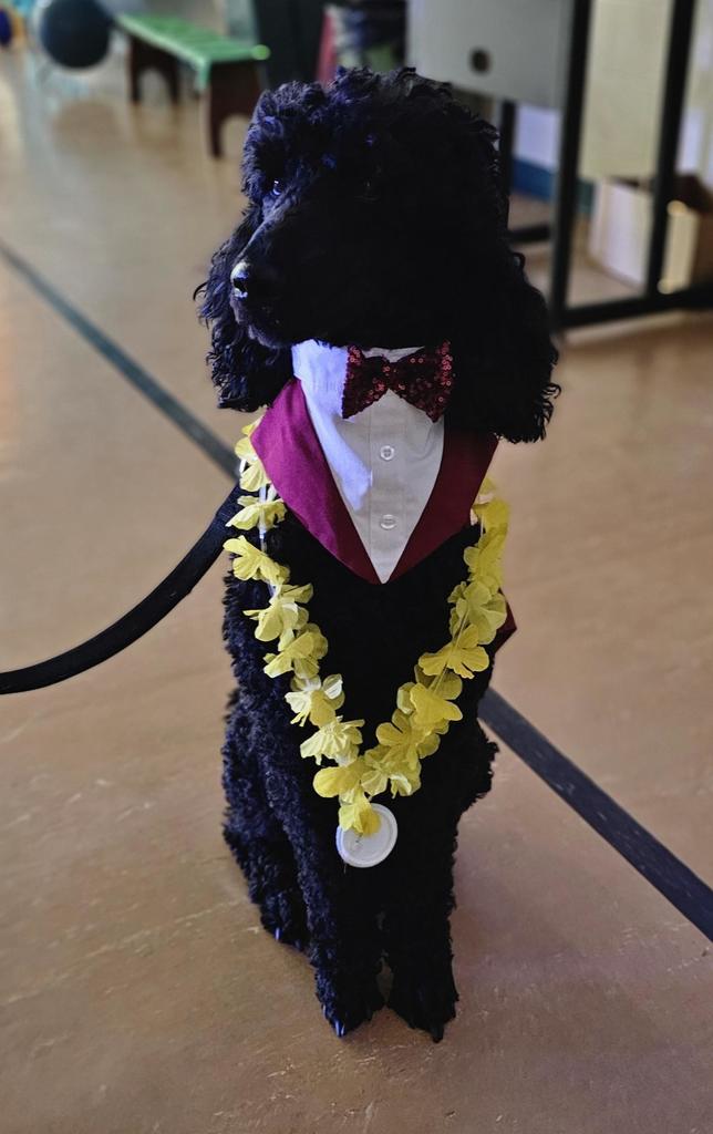 Sir Wellington is ready to party!