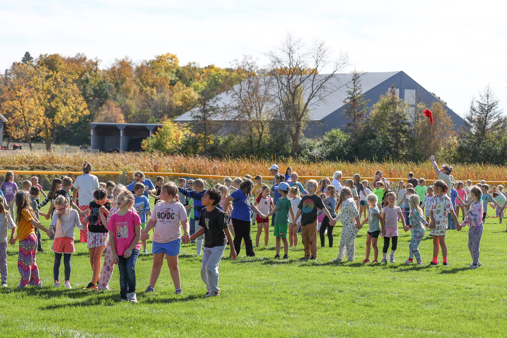 2026 Survivor Games