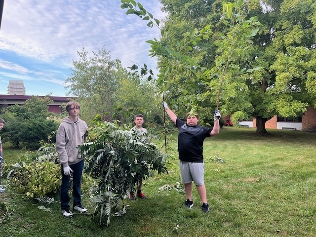 three boys cleaning up brush