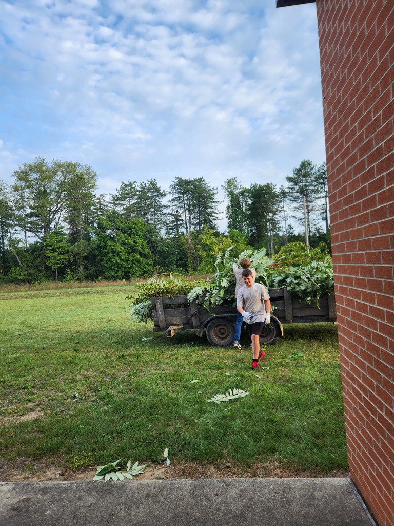 students cleaning out overgrowth