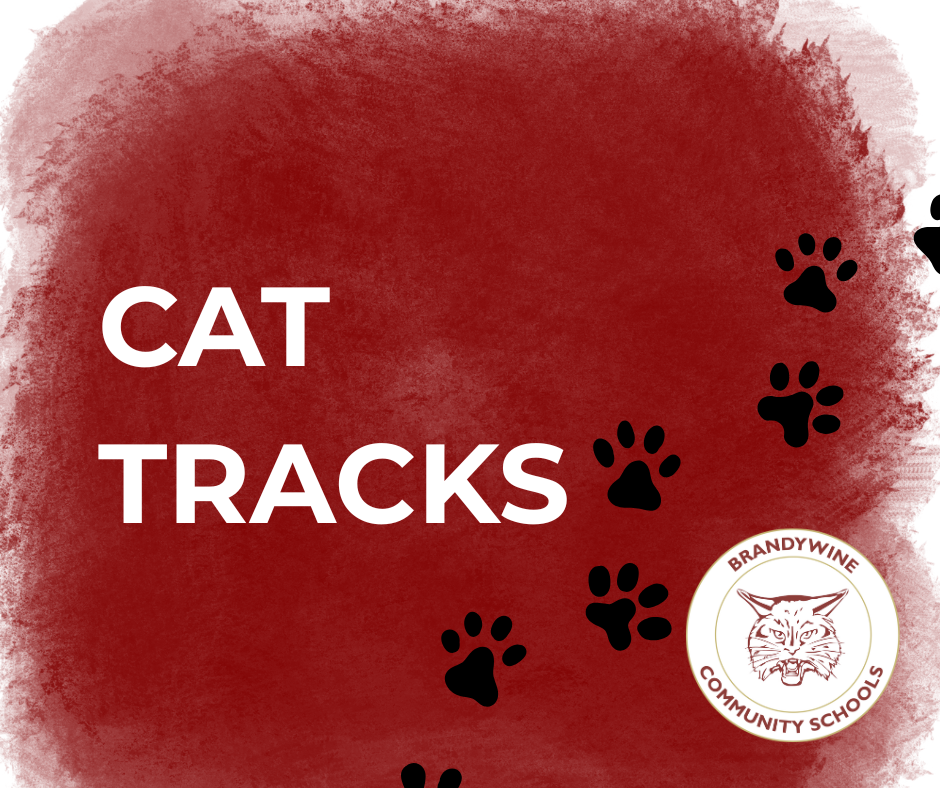 cat tracks