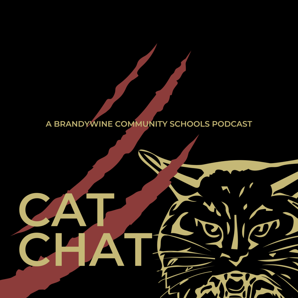 cat chat