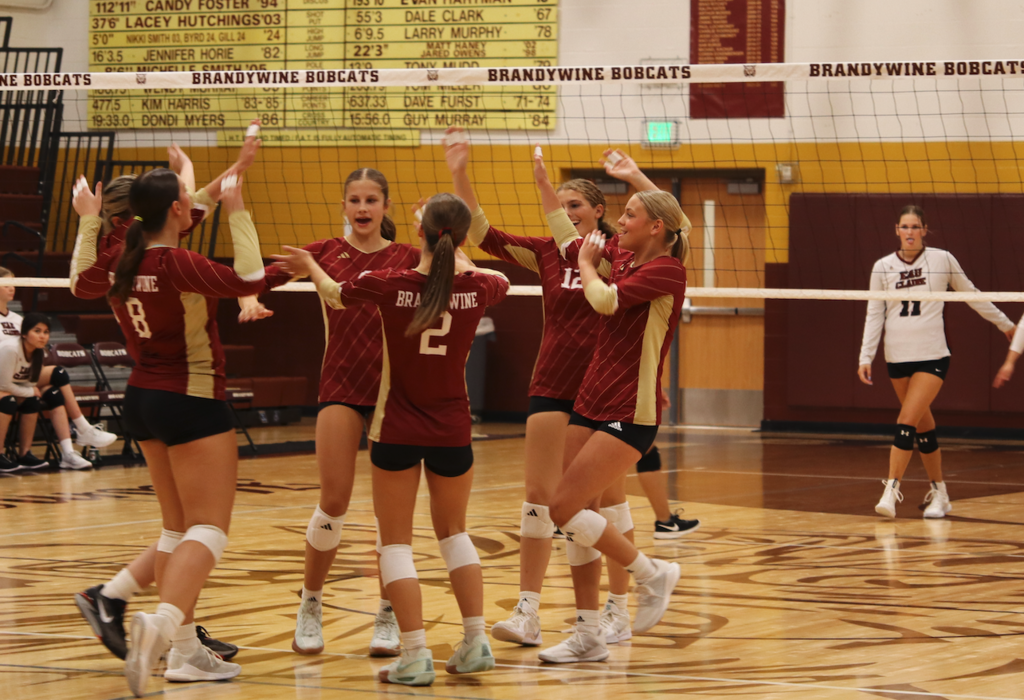 group of volleyball girls cheering